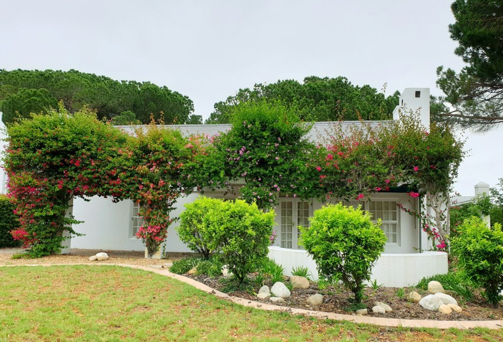 rénovation immobilière var